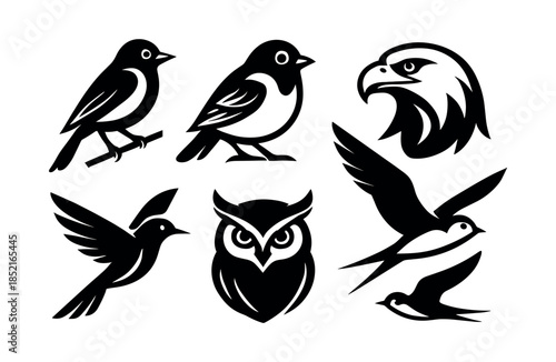 Bids illustrations, stylized birds, flat vector illustration, simple animal icons