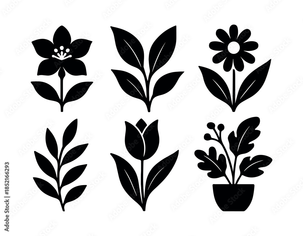 Fototapeta premium Adobe Illustrator Artwork