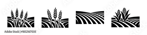 Farming landscape vector illustration with wheat and corn, flat vector style