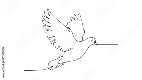 Single line of a dove in flight with a trailing line representing its path Keywords: dove, bird