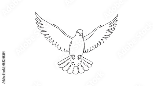 Single line of a dove with wings spread wide in flight Keywords: dove, bird, flight, wings