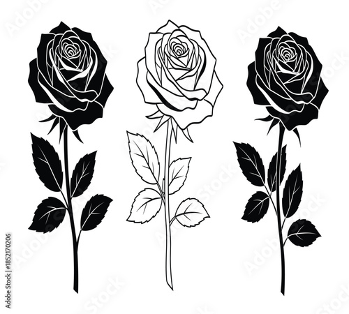 Elegant monochrome illustration showcasing three roses with varying degrees of bloom and detail