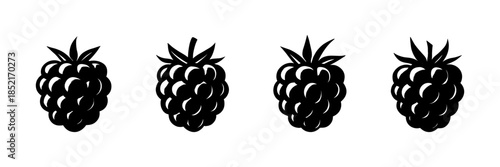 Blackberry collection, silhouette berries, simple shapes, flat vector illustration