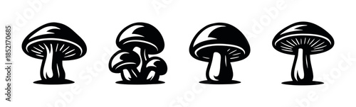 Mushrooms collection, flat vector illustration. Mushroom vector designs