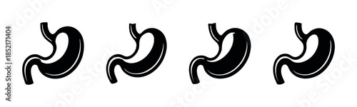 Stomach organ vector illustration, digestive system icons, flat vector style