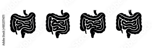 Human digestive system, flat vector illustration, intestine, bowel, colon anatomy