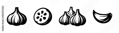 Garlic and lotus root flat vector illustration, vegetable ingredients set