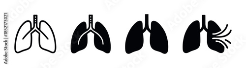 Human lungs, flat vector illustration, anatomy, breathing, respiratory system concept