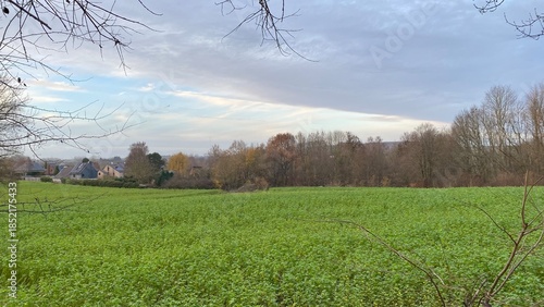 Paysage rural en fin de journée d'automne près de Nivelles (Brabant Wallon)