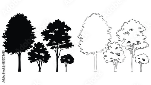 Silhouettes of trees dark contrasting shapes alongside white outlined forms