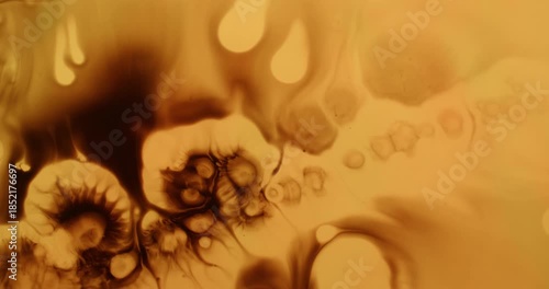 Spreading paint. Watercolor drop. Color dripping wet abstract texture. Black splatter pigment spill on yellow orange blur background.