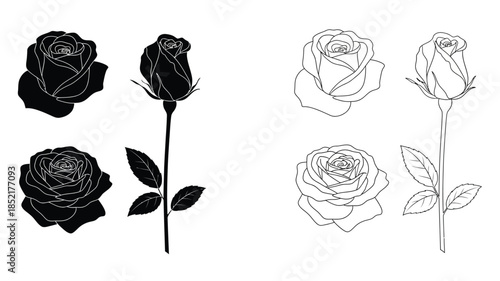 A collection of monochrome rose illustrations in varying stages of bloom