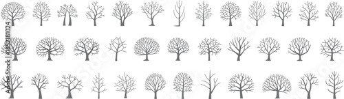 Minimal winter tree silhouettes collection, hand drawn forest icons set for nature landscape design projects