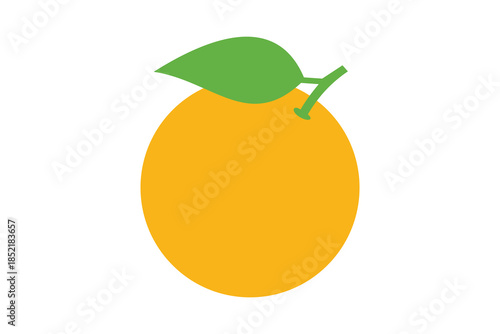 Orange Fruit Vector