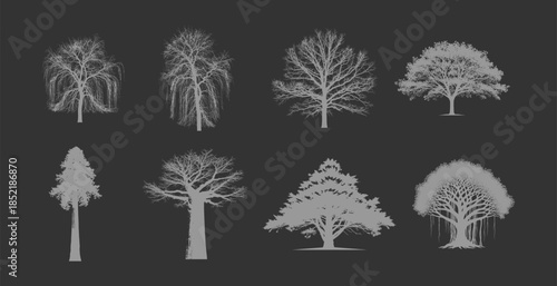 Collection of diverse tree silhouettes on dark background