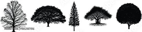 Five different types of trees in black silhouette