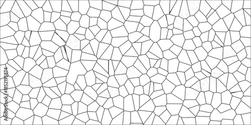 Intricate Geometric Tessellation of Varied Irregular Polygons with Thin Black Lines on a White Canvas for Abstract Backgrounds and Textural Elements