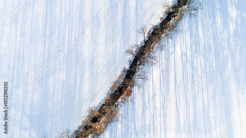 Minimalist Winter Landscape in Serene Countryside
