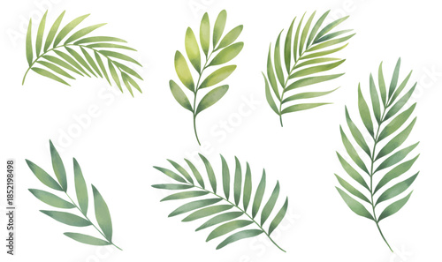Botanical palm leaves collection. Watercolor tropical leaves on white background.