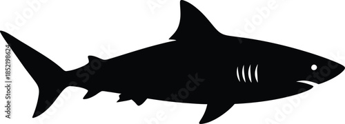 Silhouette of a shark isolated on transparent background, Vector, illustration