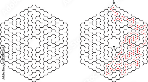 Hexagonal Maze Puzzle Solution Complex Geometric Design