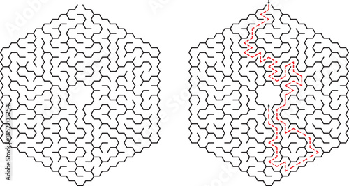 Hexagonal Maze Puzzle Solution Complex Labyrinth Game Challenge