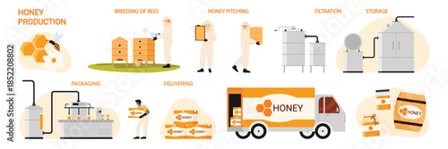 Industrial honey production process, manufacturing stages set. Bee breeding and collecting honeycombs for honey processing, packaging on factory conveyor line and delivery cartoon vector illustration