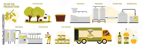 Olive oil production in factory, manufacture process stages set. Washing and pressing of olive harvest, filtration and refining with machinery, bottling for delivery cartoon vector illustration