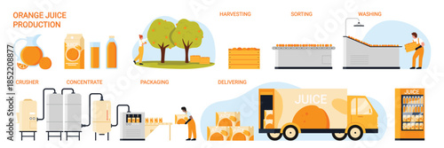 Orange juice production. Manufacturing line for making juice from concentrate, growing and harvesting fruit, sorting and chopping, pasteurization and bottling for delivery cartoon vector illustration
