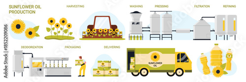 Sunflower oil production process in food industry, manufacturing stages set. Processing line with harvesting, preparation for filtration and deodorization, bottle packing cartoon vector illustration