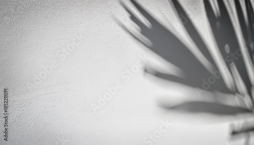 Abstract Grey Palm Leaf Shadow On Textured White Wall Tropical Leaves Modern Background