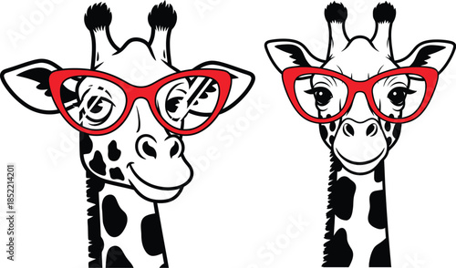 Two giraffes wearing glasses