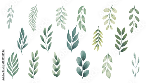 Soft botanical leaf collection painted in gentle watercolor tones. Botanical set of tropical foliage branch.