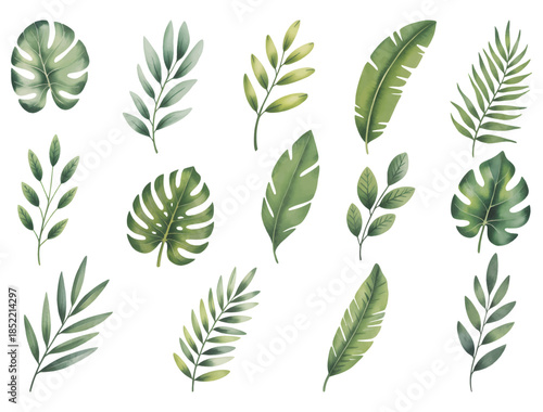 Tropical green leaves set in watercolor style isolated on white background. Hand drawn watercolor green palm leaves, monster, banana leaves.

