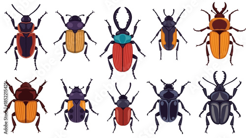 Vector set of nature illustrations featuring cartoon insects and animal silhouettes including butterfly, beetle, bee, ant, ladybug, dragonfly, and spider for art and design