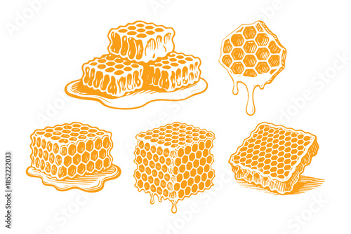 Various hand-drawn honeycomb chunks with dripping honey, illustrated in sketch style on white background, concept of organic food