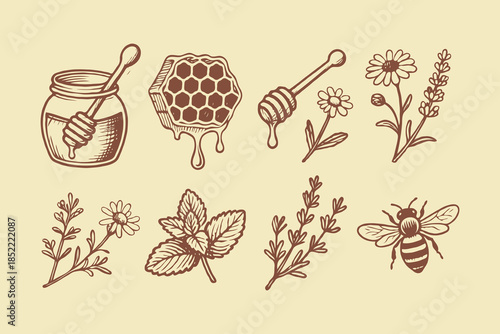 Hand-drawn illustrations of honey jar, honeycomb, bee, and various herbs and flowers on beige background, concept of natural ingredients