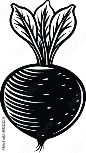 Black and white of a beets with leaves vegetable plant
