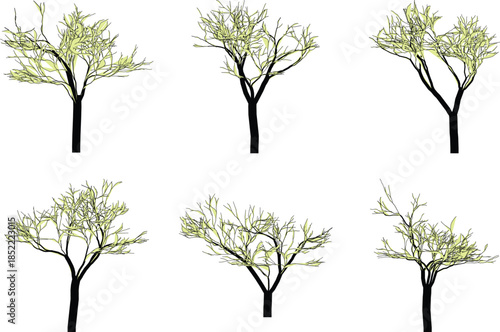 set of six trees brances with sparse green leaves on transparent background