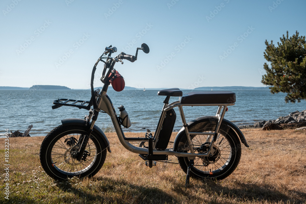 Obraz premium Utility style electric bicycle