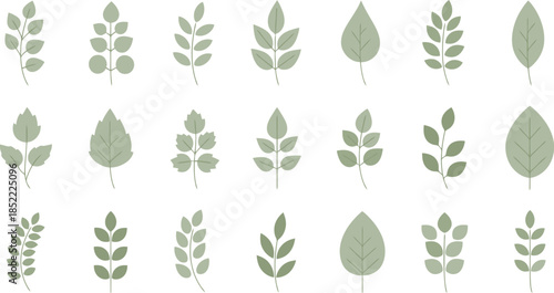 Collection of Various Green Leafy Branch Illustrations.