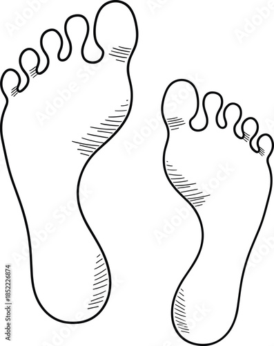  line drawing of human footprints with detailed toe and arch contours for anatomy, movement, and educational design themes