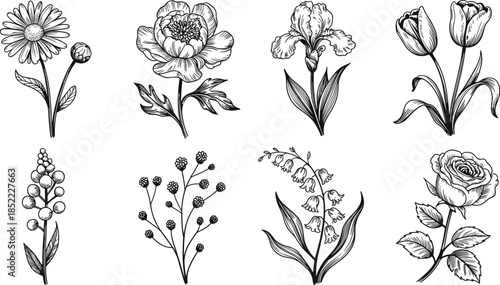 Botanical Flower Illustration Set – Hand-Drawn Black and White Floral Sketches Featuring Diverse Petal Shapes, Leaf Designs, and Natural Line Art Details