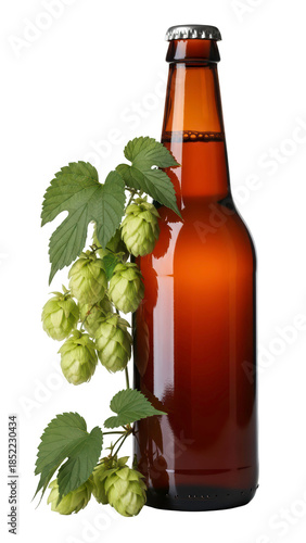 Brown beer bottle mockup with fresh green hops, realistic glass bottle isolated on transparent background PNG (हॉप्स के साथ बीयर की बोतल)