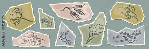 Ripped paper pieces with hand drawn floral sketches. Vintage botanical illustration for journaling and scrapbooking collage element.
