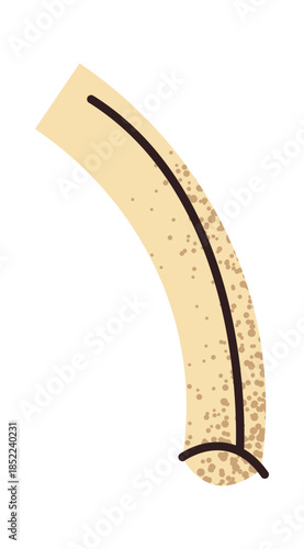 Macaroni element Italian food design