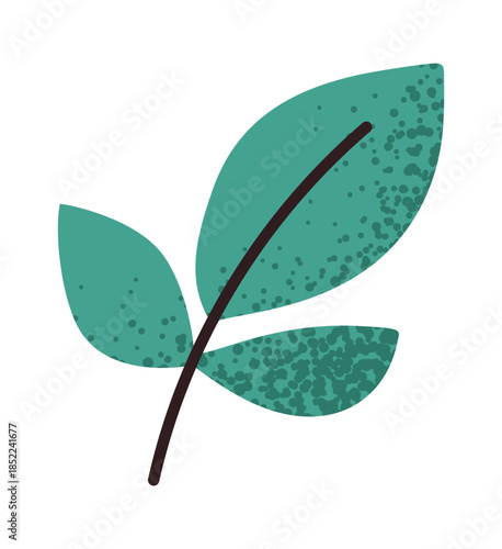 Basil leaves seasoning pasta sticker