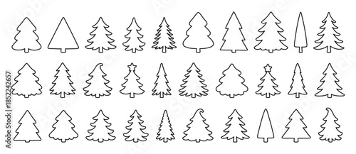 Black silhouette of various evergreen tree shapes, isolated on white background. concept of icon, design element, forest, nature, christmas tree, winter decor, woodland.