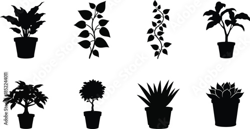 Collection of potted plants and leafy branches black silhouette on transparent background