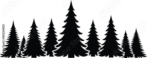 Dark forest silhouette of evergreen trees on transparent background